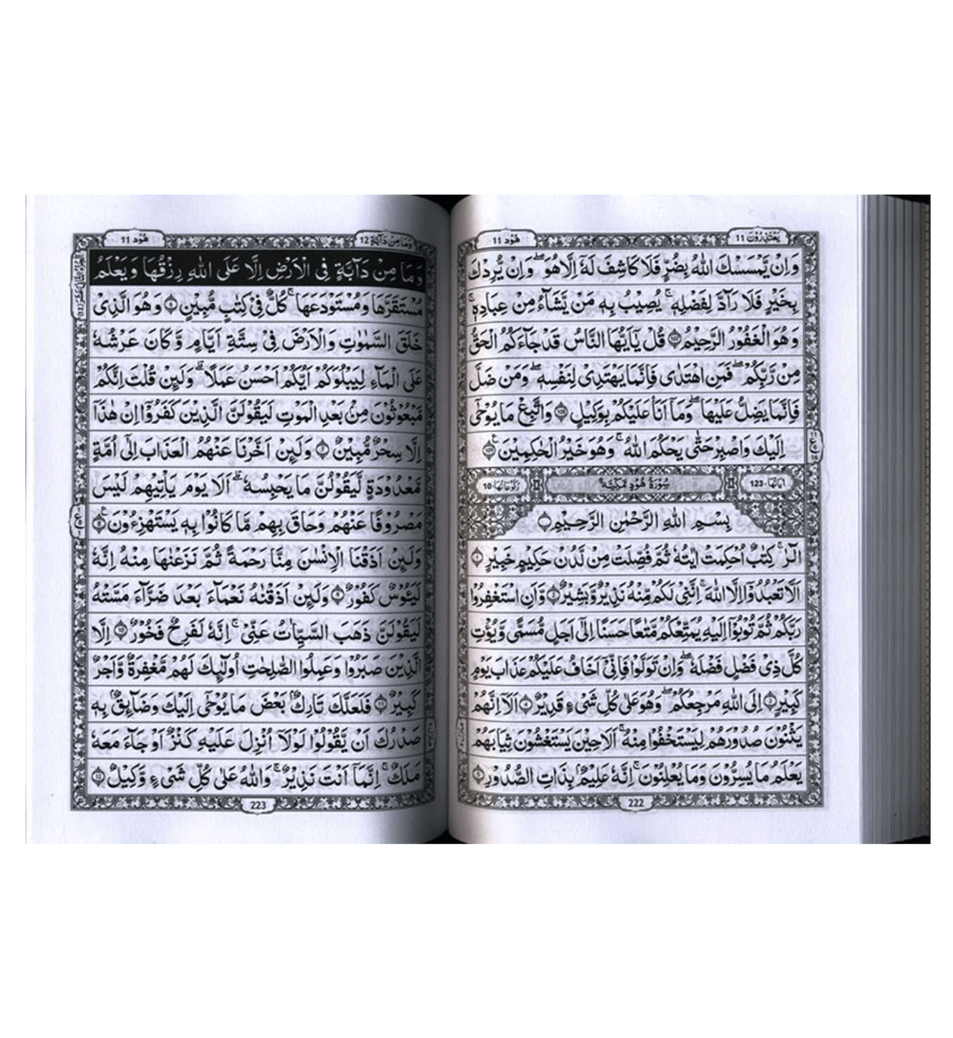Al Quran Al Hakeem 207 Arabic Only(15lines with Urdu-Persian-Hindi Script)